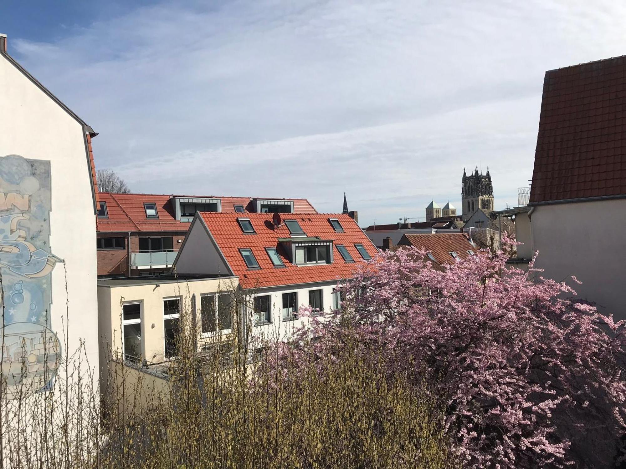 Lemperdenkmal Muenster Daire Dış mekan fotoğraf